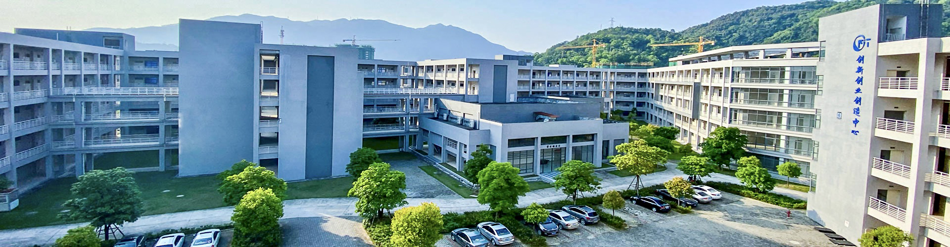 大图2